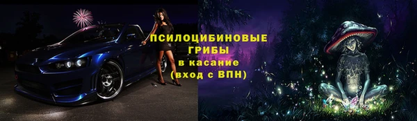 метадон Горняк