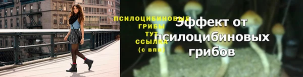 гашик Вязьма