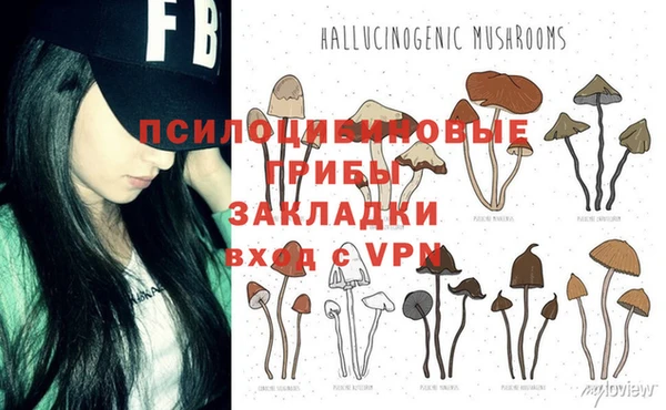 метадон Горняк