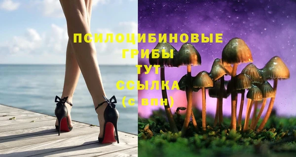 метадон Горняк