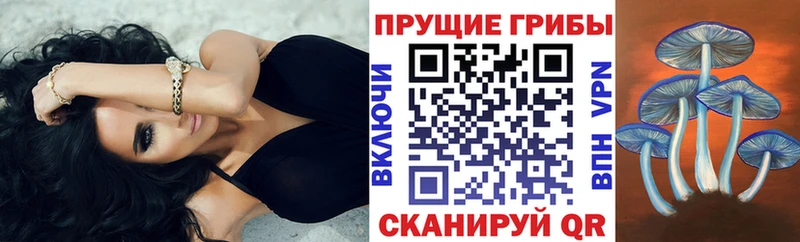 Псилоцибиновые грибы прущие грибы Купить Киров
